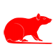 Jasa Pembasmi Tikus