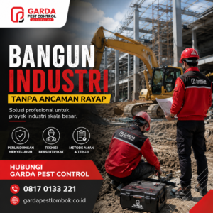 Harga Jasa Anti Rayap Lombok