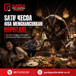 Rekomendasi Pembasmi Kecoa Lombok