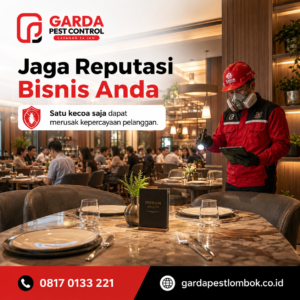 Harga Jasa Pembasmi Kecoa Lombok