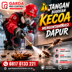 Jasa Pembasmi Kecoa di Lombok