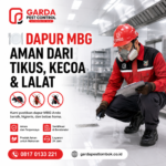 Jasa Pest Control di Mataram Spesialis Dapur MBD