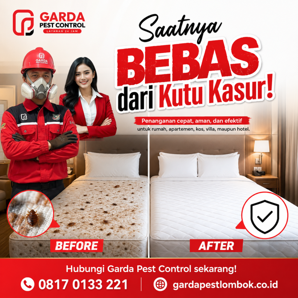Jasa Semprot Kutu Kasur Lombok