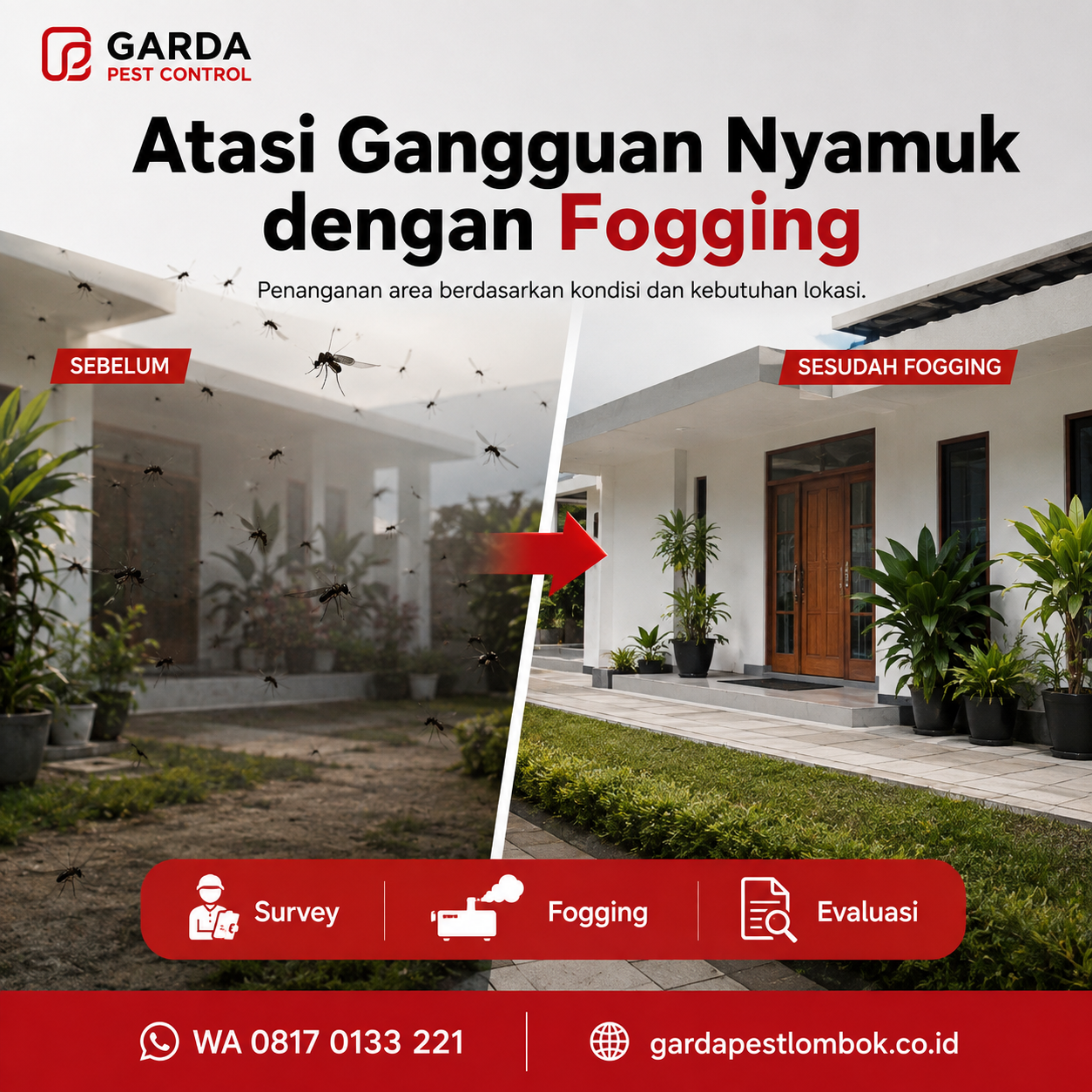 Jasa Fogging Nyamuk Panggilan Darurat DBD di Lombok Response Cepat
